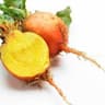 Beetroot: Golden
