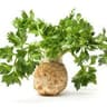 Celeriac