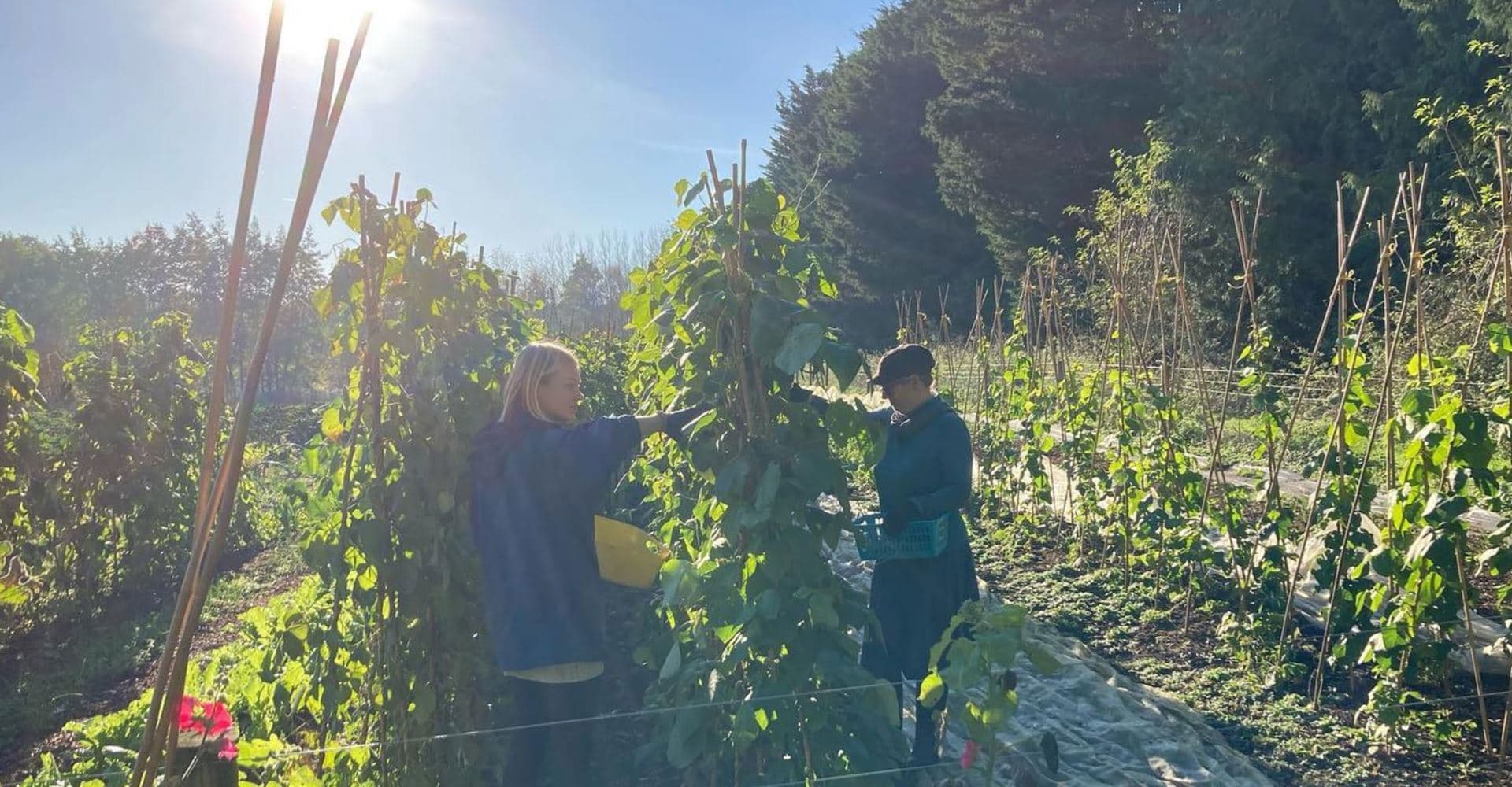 Norwich FarmShare