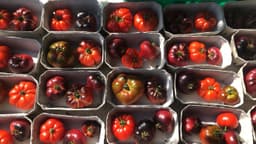 Image of Large Veg Bag